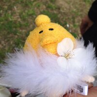 ちび黄 (@tibikinameko) 's Twitter Profile