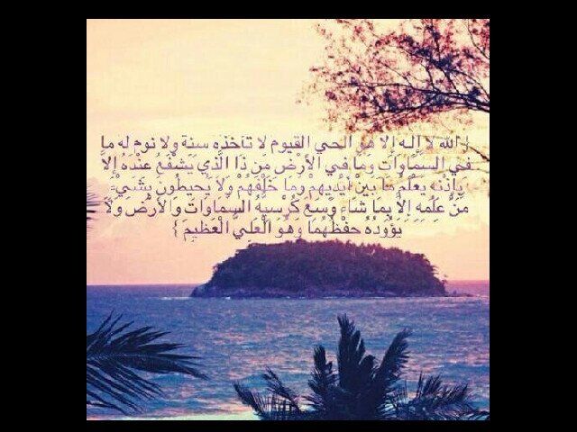 اللهم استودعتك مبسم ابي ، قلب امي ، فرحـﻫ اخوتيّ و إخواني ، اللهم استودعتك اغلىّ ماملك فَ احفظهم بَ عينك التي لا تنام ♥