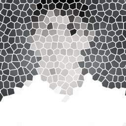 scixa's profile picture. I accidently fell in love with the web.