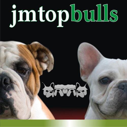 French & English Bulldog, American Bully Breeder