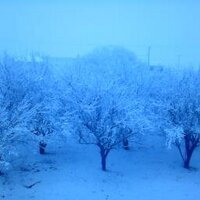 le.gitan (@gitanmay) 's Twitter Profile