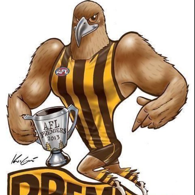 Love my footy. Occasional opinions on other topics. Hawks supporter.