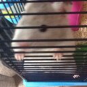 Maxwell Conway - @conawama - Twitter