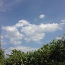sky (@11omo11) Twitter
