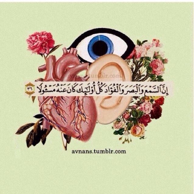 تذكر دائماً ان الأموات انقطعت أعمالهم لكن لم ينقطع أملهم فاجعلوا لهم نصيباً من حياتكم بالدعاء. اذا مررت من هنا ف لا اريد منك الا دعوة صادقة لها❤️ #مها_آل_الشيخ