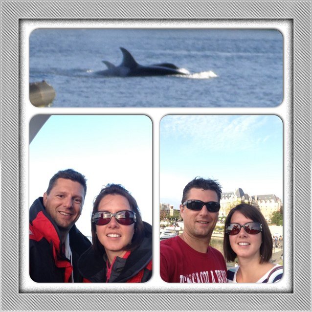 Oh_CYa's profile picture. I do what i want when I want, when I'm allowed. like kicking back with a cold Keystone, mostly because of the comercial.