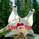 وعد اللقيا (@0501445015) Twitter