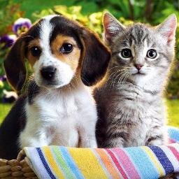 ☺