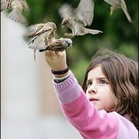 amal.now (@amalnow) Twitter profile photo