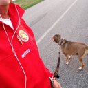 Marco Betti - @baomber60 - Twitter