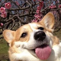 まったりしてます（’’