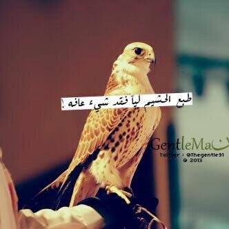استغفر الله و اتوب اليه