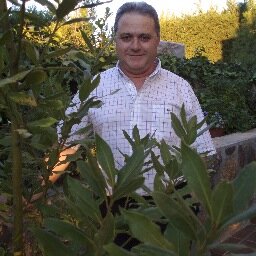 Toguitarxls's profile picture. 