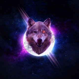 Follow me i will follow u back