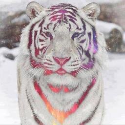 AlexRojasxx Profile Picture