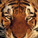 Allen Ratliff - @ParKourAllen - Twitter