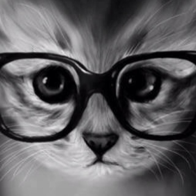 Im a nerd cat ;)