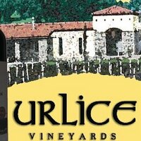 urlice vineyards (@urlicevineyards) 's Twitter Profile
