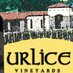 urlice vineyards (@urlicevineyards) Twitter profile photo