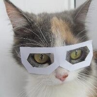 Александр  (@programmmaster) 's Twitter Profile