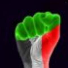 EssdEmad's profile picture. 