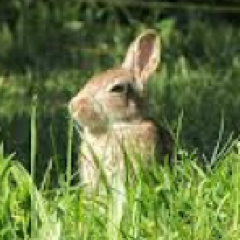 SarcasticProxy's profile picture. A tweet account for constructive rants!!
