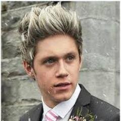 SOY UNA NIÑA QUE AMA A ONE DIRECTION