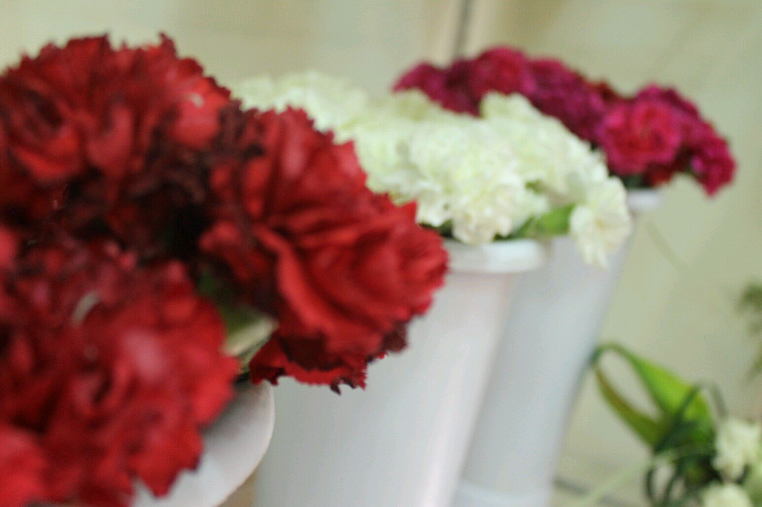 instagram :d_monasabaty &((d_durrah))
