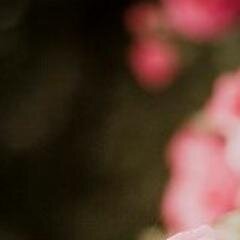 _seraphim's profile picture. a collection of the shattered, scattered, bittersweet #illhueminati