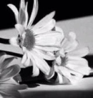 ana_mirage's profile picture. 