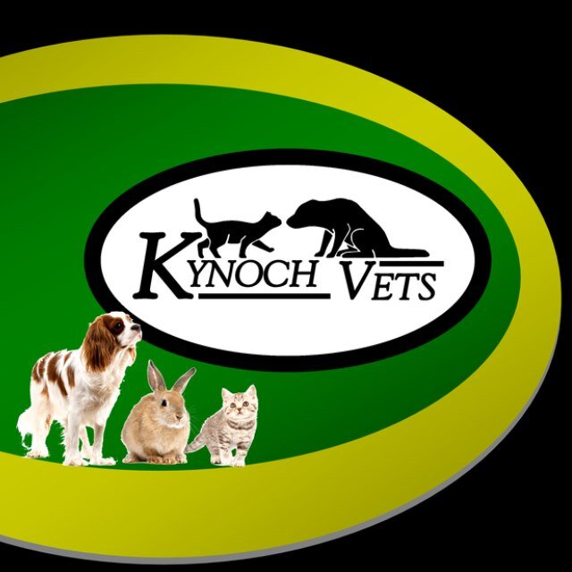 Independent small animal veterinarians with a passion for providing exceptional care for your pets