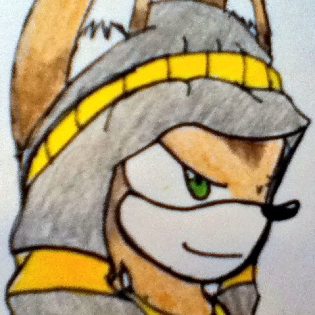I am a former arabian knight who once served Erazor Djinn long ago. I know the desert like the back of my hand. ||RP |#ArabianSonicTwitter ||