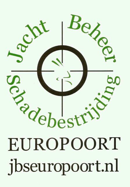 AntonStolk's profile picture. 