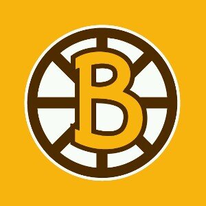 Die-hard Boston Bruins fan!