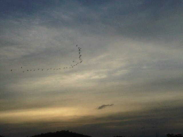 ramonj07's profile picture. 