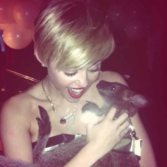 Miley Cyrus.... Im in Miley Land.