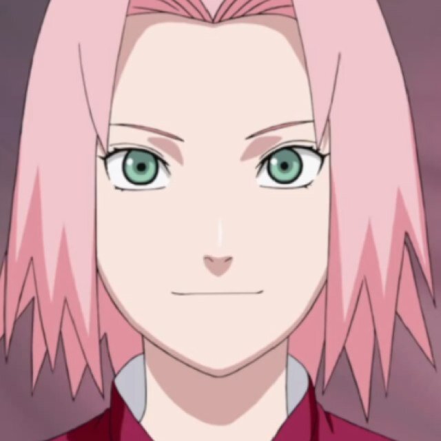 I am Sakura Haruno. I'm a medical-nin from the Hidden Leaf. I always heal wounds for my friends. I will protect them.