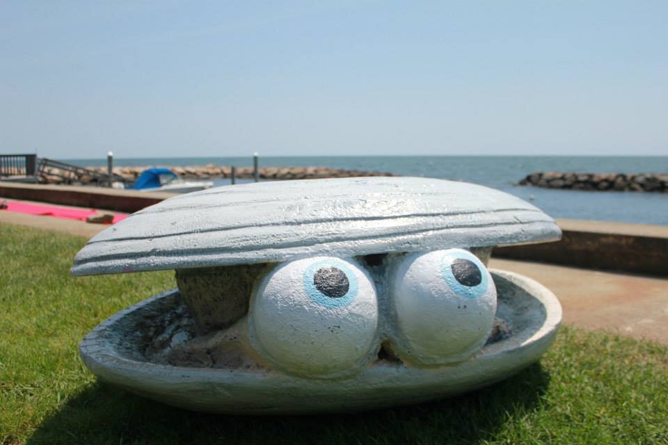 Prognosticator of Summer and Aspiring Mascot of Cape Cod