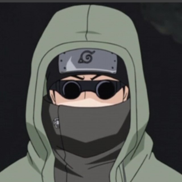 I am Shino Aburame and I protect my friends when I'm there for them! Reddio