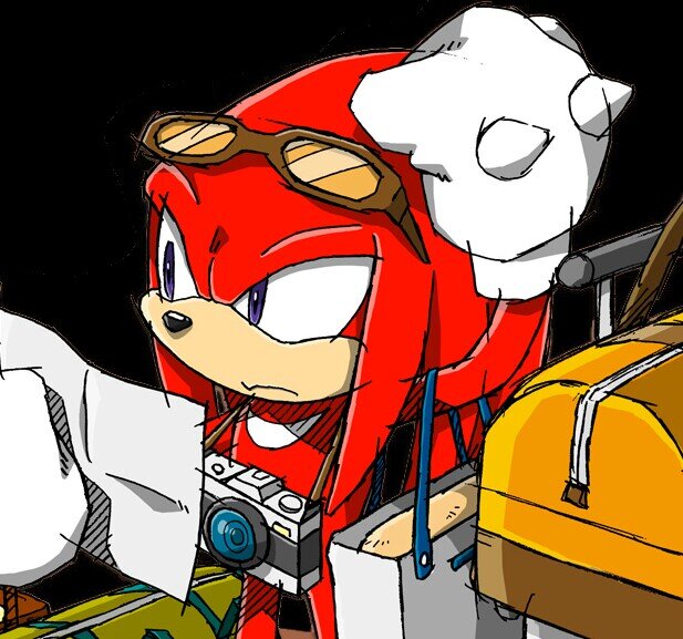 The Guardian of the Master Emerald, Knuckles the Echidna. Do not mess with me, I am tougher than leather!