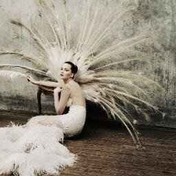 LoveMockingjay_'s profile picture. Viajo con la mente y batallo con palabras. Readers siganme! Mis sagas favoritas son Los juegos del hambre, divergente, lux, y cazadores de sombras.