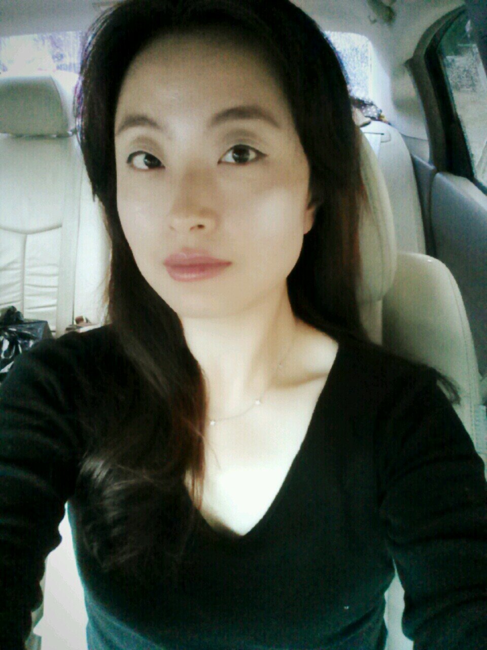 태산을 덮을 푸른 숲..