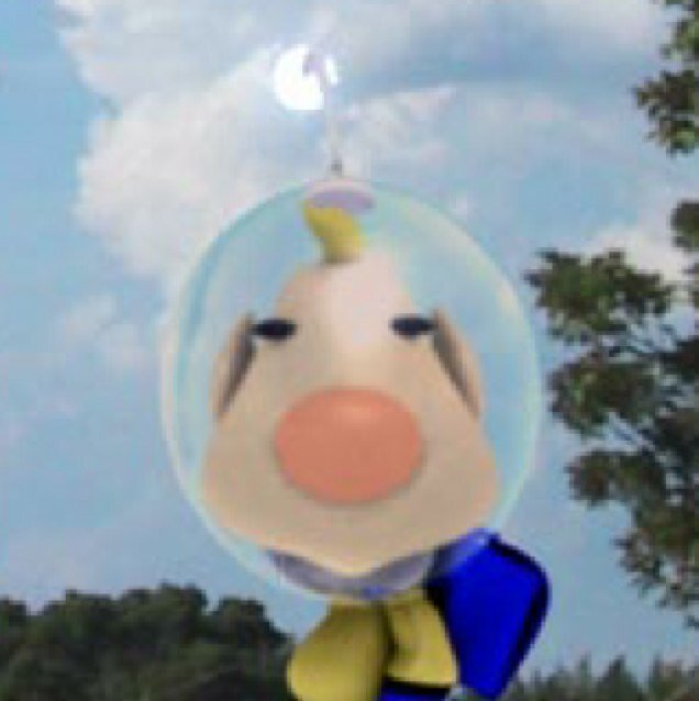 My name is Louie,Captain Olimar's assistant of the Hocotate Freight. Just...be careful when entrusting me with food...