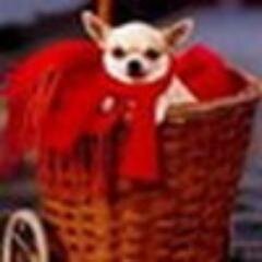 Когда у нивы много хозяев, на ней ослы пасутся
