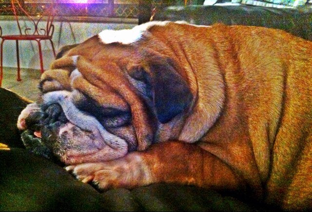 fenemecolucci's profile picture. 