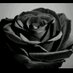mumina51 (@mumina51) Twitter profile photo