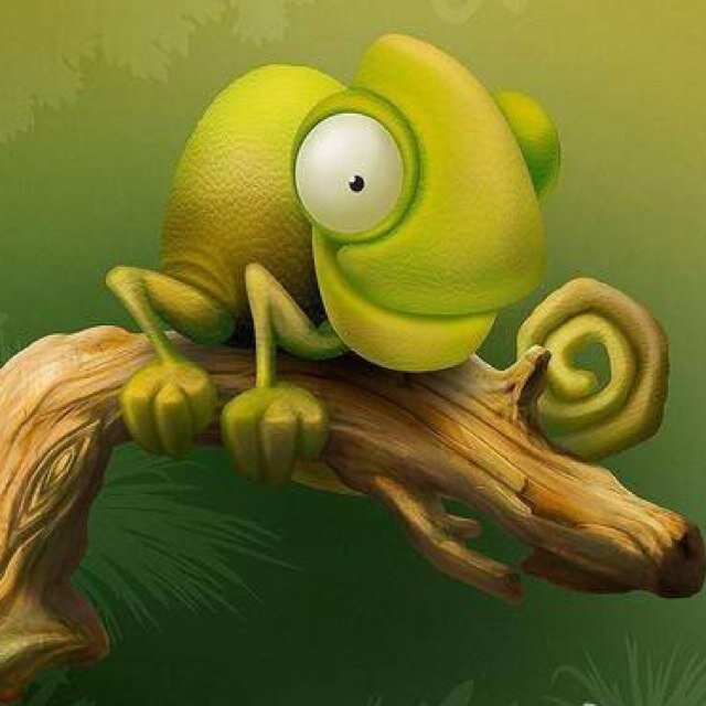 qiaoyixyz's profile picture. 