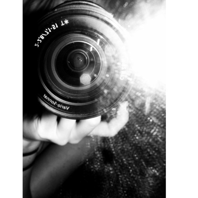 VDdaisyy's profile picture. are you lost?