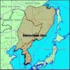 News_Peninsula's profile picture. 