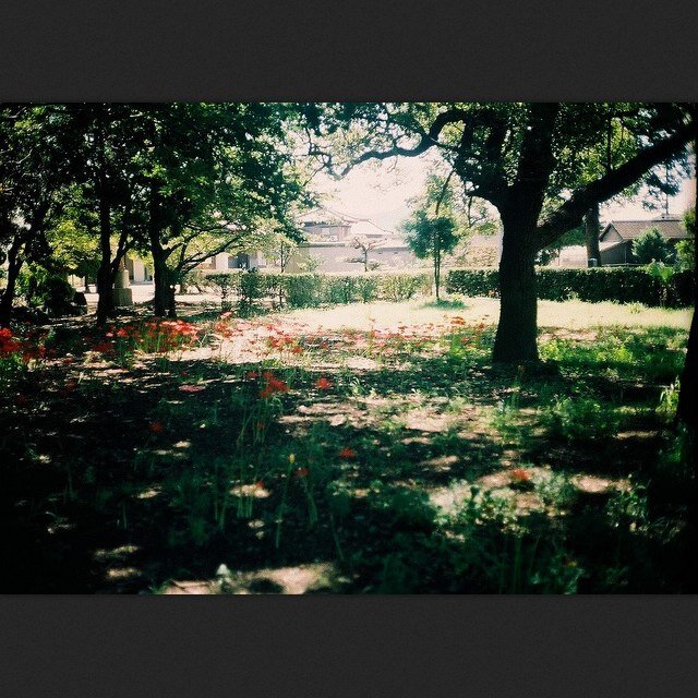 ByeByeBoys_'s profile picture. Female, 15, Coventry...